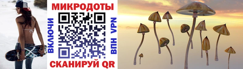 дарнет шоп  MEGA сайт  Псилоцибиновые грибы Magic Shrooms  Сосновый Бор 